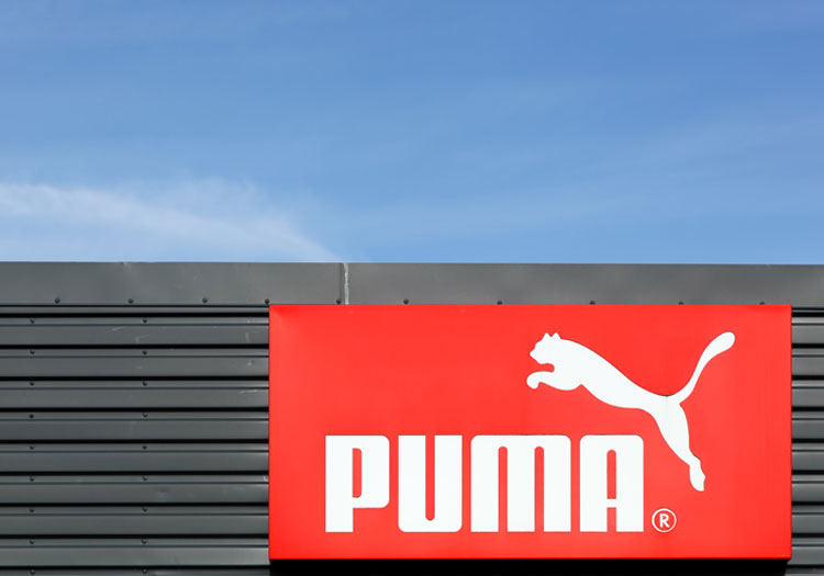 puma board